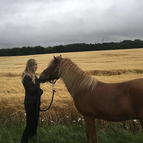 Pige med hest på mark