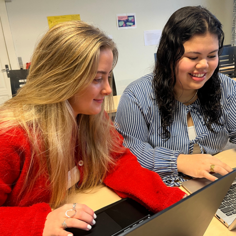 Ordblinde studerende sidder ved computer